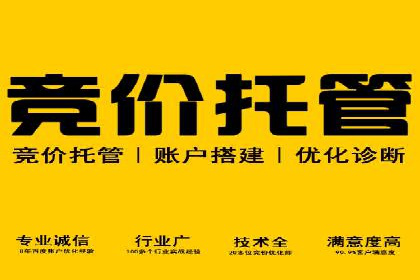 信息流广告代理成功案例分析